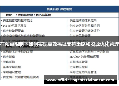在预算限制下如何实现高效福祉支持策略和资源优化管理