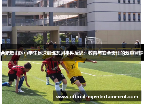 合肥蜀山区小学生足球训练悲剧事件反思：教育与安全责任的双重警钟