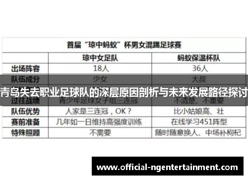 青岛失去职业足球队的深层原因剖析与未来发展路径探讨