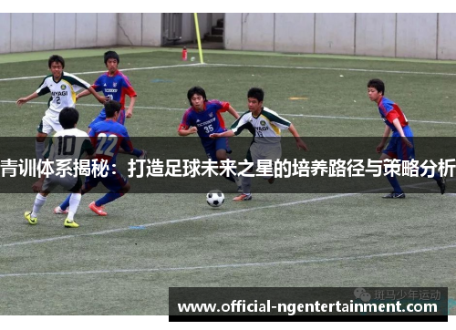 青训体系揭秘：打造足球未来之星的培养路径与策略分析