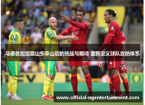 马德鲁加加盟山东泰山后的挑战与期待 重新定义球队攻防体系